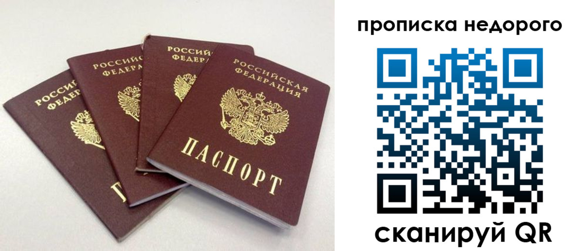 прописка законно в Голицыно